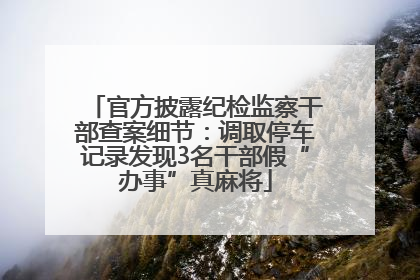 官方披露纪检监察干部查案细节：调取停车记录发现3名干部假“办事”真麻将