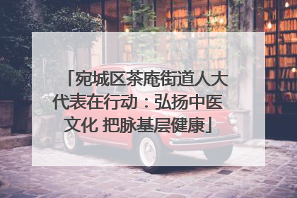 宛城区茶庵街道人大代表在行动：弘扬中医文化 把脉基层健康