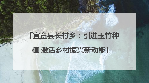 宜章县长村乡：引进玉竹种植 激活乡村振兴新动能