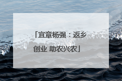 宜章杨强：返乡创业 助农兴农