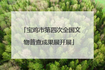 宝鸡市第四次全国文物普查成果展开展