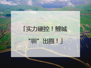 实力硬控！鲤城“圳”出圈！