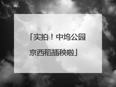 实拍！中坞公园京西稻插秧啦