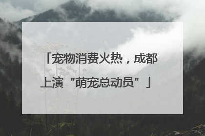 宠物消费火热，成都上演“萌宠总动员”