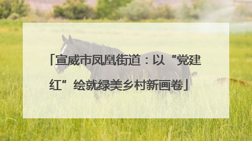 宣威市凤凰街道：以“党建红”绘就绿美乡村新画卷
