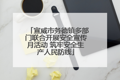 宣威市务德镇多部门联合开展安全宣传月活动 筑牢安全生产人民防线