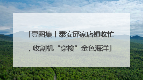 壹图集丨泰安邱家店镇收忙，收割机“穿梭”金色海洋