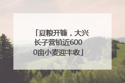 夏粮开镰，大兴长子营镇近6000亩小麦迎丰收