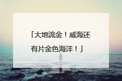 大地流金！威海还有片金色海洋！