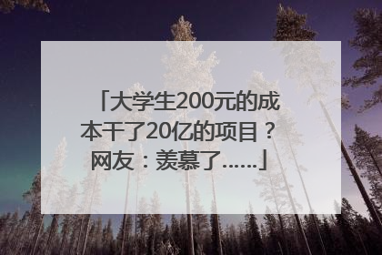 大学生200元的成本干了20亿的项目？网友：羡慕了……