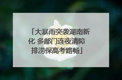大暴雨突袭湖南新化 多部门连夜清障排涝保高考路畅