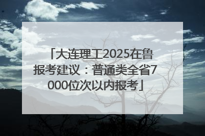 大连理工2025在鲁报考建议：普通类全省7000位次以内报考