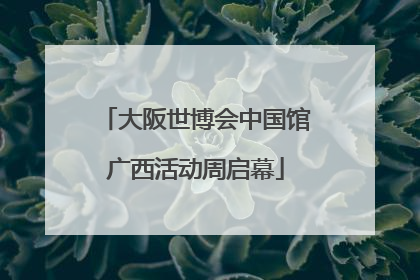 大阪世博会中国馆广西活动周启幕
