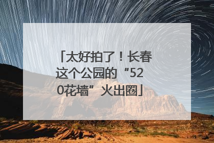太好拍了！长春这个公园的“520花墙”火出圈