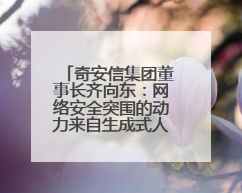 奇安信集团董事长齐向东：网络安全突围的动力来自生成式人工智能