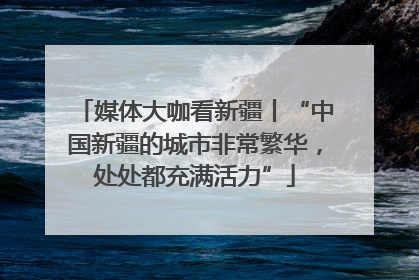 媒体大咖看新疆丨“中国新疆的城市非常繁华，处处都充满活力”