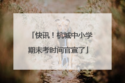 快讯！杭城中小学期末考时间官宣了