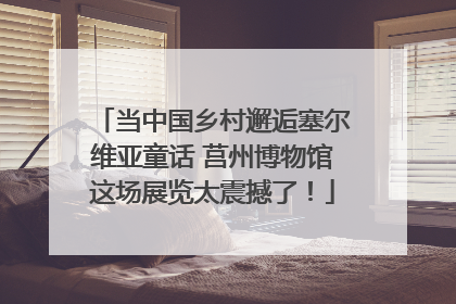 当中国乡村邂逅塞尔维亚童话 莒州博物馆这场展览太震撼了！