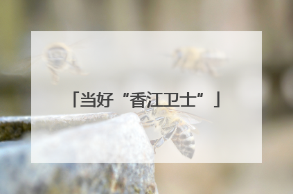 当好“香江卫士”