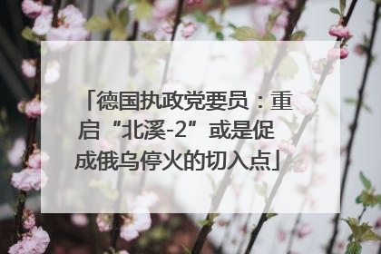 德国执政党要员：重启“北溪-2”或是促成俄乌停火的切入点