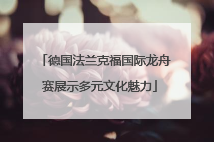 德国法兰克福国际龙舟赛展示多元文化魅力