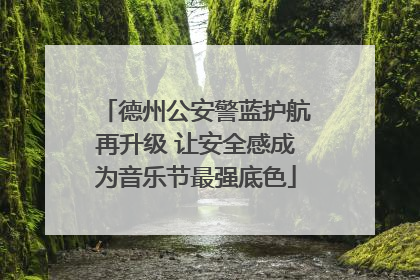 德州公安警蓝护航再升级 让安全感成为音乐节最强底色