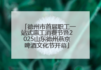 德州市首届职工一站式惠工消费节暨2025山东德州燕京啤酒文化节开幕