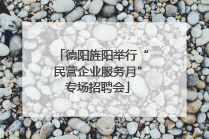 德阳旌阳举行“民营企业服务月”专场招聘会