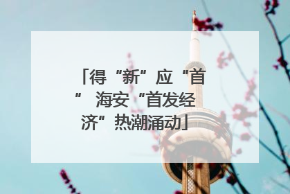 得“新”应“首” 海安“首发经济”热潮涌动