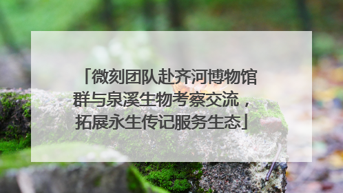 微刻团队赴齐河博物馆群与泉溪生物考察交流，拓展永生传记服务生态