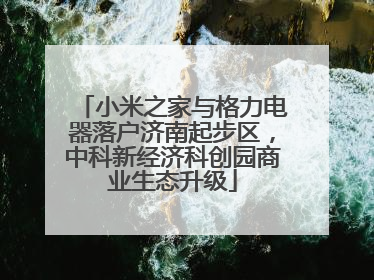 小米之家与格力电器落户济南起步区，中科新经济科创园商业生态升级
