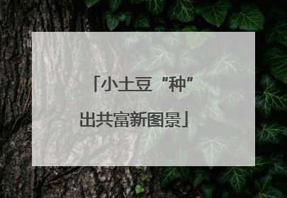 小土豆“种”出共富新图景
