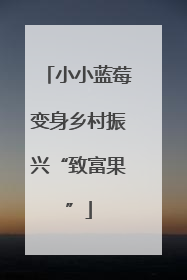 小小蓝莓变身乡村振兴“致富果”