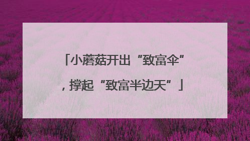小蘑菇开出“致富伞”，撑起“致富半边天”