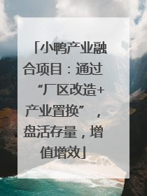 小鸭产业融合项目：通过“厂区改造+产业置换”，盘活存量，增值增效
