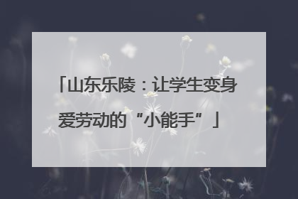 山东乐陵：让学生变身爱劳动的“小能手”