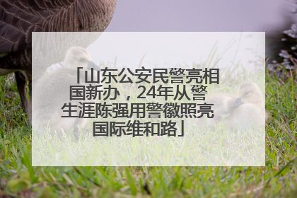 山东公安民警亮相国新办，24年从警生涯陈强用警徽照亮国际维和路