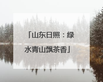 山东日照：绿水青山飘茶香