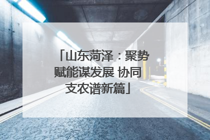 山东菏泽：聚势赋能谋发展 协同支农谱新篇