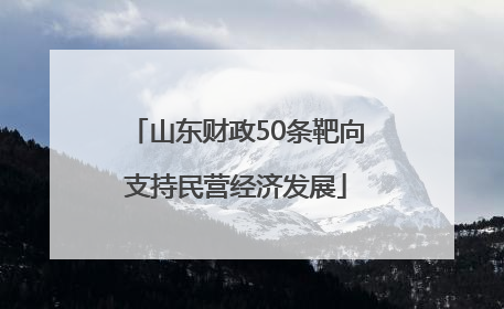 山东财政50条靶向支持民营经济发展