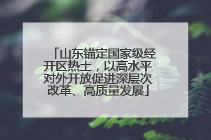 山东锚定国家级经开区热土，以高水平对外开放促进深层次改革、高质量发展