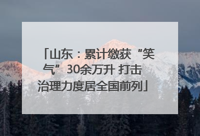 山东：累计缴获“笑气”30余万升 打击治理力度居全国前列