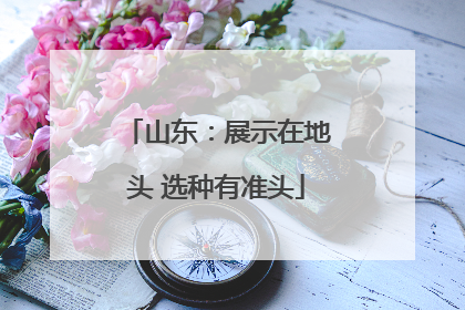 山东：展示在地头 选种有准头