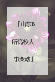 山东6所高校人事变动