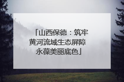 山西保德：筑牢黄河流域生态屏障 永葆美丽底色
