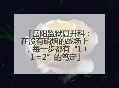 岳阳监狱夏升科：在没有硝烟的战场上，每一步都有“1＋1＝2”的笃定