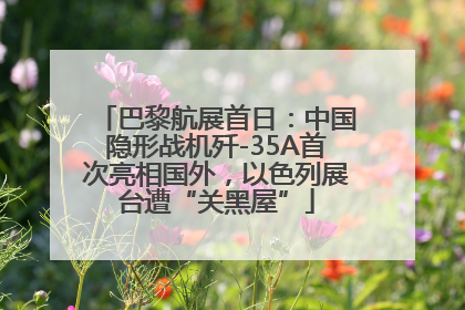 巴黎航展首日：中国隐形战机歼-35A首次亮相国外，以色列展台遭“关黑屋”