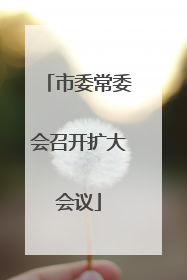 市委常委会召开扩大会议