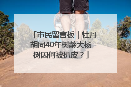 市民留言板｜牡丹胡同40年树龄大杨树因何被扒皮？