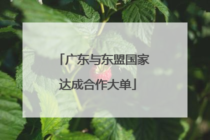 广东与东盟国家达成合作大单